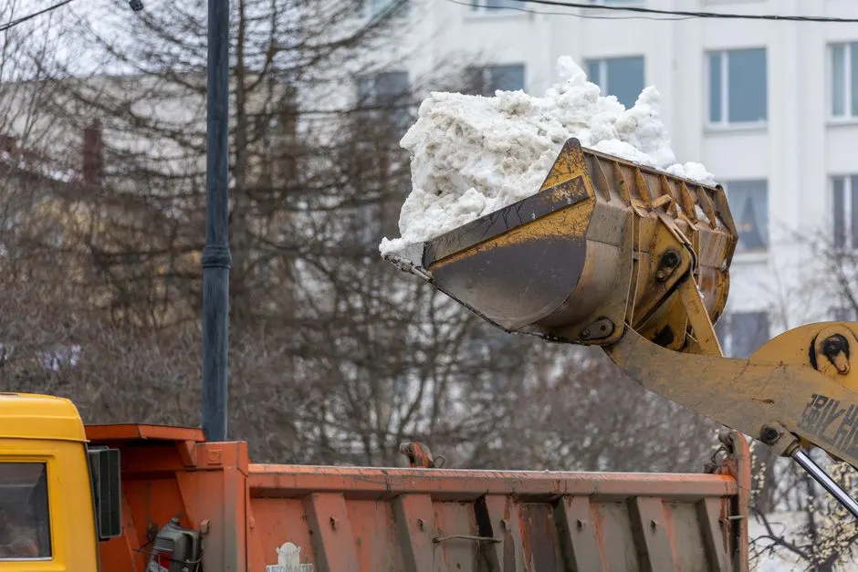Spray foam removal near me for Carlisle homes
